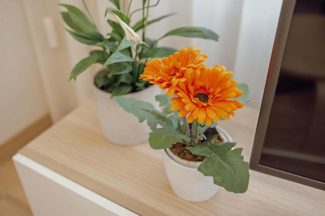 Modern Trindade By Homing Apartment Porto Ngoại thất bức ảnh
